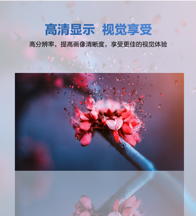 怎么判断透明屏