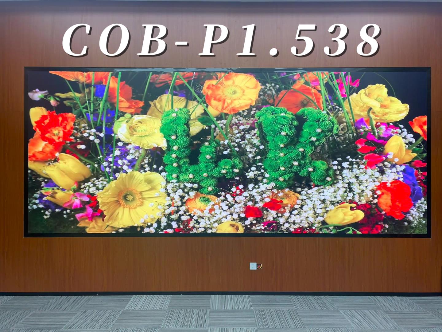 COB-P1.538显示屏